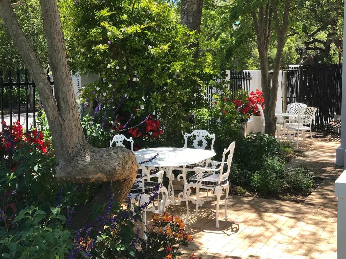 Just Joey Lodge Stellenbosch Zewnętrze zdjęcie